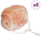 vidaXL Pietre de Sare pentru Lins Roz Sare de Piatră 42000117