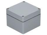 Carcasă Universală RAYCHEM RPG Poliester Gri IP66 120x122x91mm