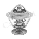 Calorstat by Vernet termostat, lichid racire