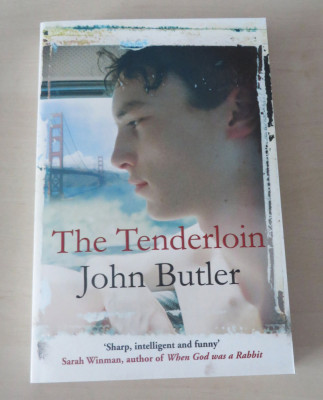 The Tenderloin - John Butler foto