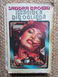 Sandra Brown - Imaginea din oglinda