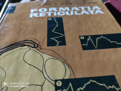 FORMAȚIA RETICULATA - SAGER, MARES, NESTIANU, ED ACADEMIEI 1965, 358 PAG foto