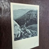 Carte Postala Muntele Postavaru (Schuler), 1927