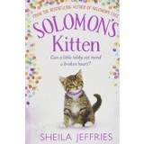Solomon&#039;s Kitten