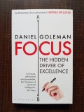 Daniel Goleman - Focus. The Hidden Driver of Excellence
