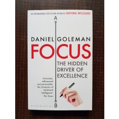 Daniel Goleman - Focus. The Hidden Driver of Excellence