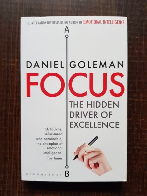 Daniel Goleman - Focus. The Hidden Driver of Excellence foto
