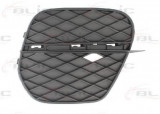 Grila ventilatie, bara protectie BMW X5 (E70) (2007 - 2013) BLIC 6502-07-0096916P