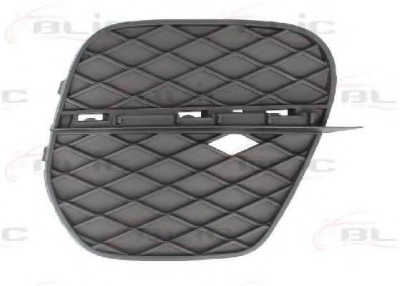 Grila ventilatie, bara protectie BMW X5 (E70) (2007 - 2013) BLIC 6502-07-0096916P foto