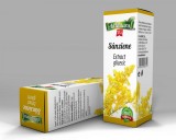 EXTRACT GLICERIC SANZIENE CU FL.GALBENE 50ML, Adserv