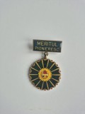 Insignă PIONIER &ndash; Meritul Pioniereasc &ndash; RSR &ndash; Colecție &ndash; 4.5 cm