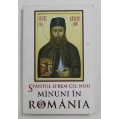 SFANTUL EFREM CEL NOU - MINUNI IN ROMANIA , 2013