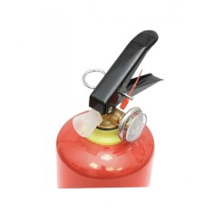 Stingator auto reincarcabil 1kg P1