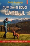 Colette Arpaillange - Cum sa-ti educi catelul (Editia: 2013)