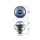 Mahle termostat, lichid racire Behr