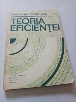 Teorie eficientei - Eugeniu Niculescu Mizil foto