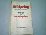 ARHIPELAG - MIRCEA IORGULESCU