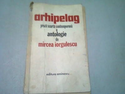ARHIPELAG - MIRCEA IORGULESCU foto