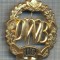 AX 223 INSIGNA -TURISM MONTAN - DRUMETIE - ,,DWB&quot; 110 -FRUMOASA