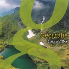 Geografie - Clasa 8 - Manual - Silviu Negut, Carmen Camelia Radulescu, Ionut Popa