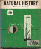 Natural History - Richard A. Pimentel