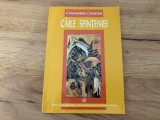 Căile sfințeniei - Constantine Cavarnos