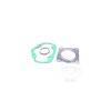 MBS Dichtungssatz Standard JMP, Cod Produs: 7510360MA