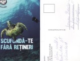 Ilustrata animale- Broasca testoasa