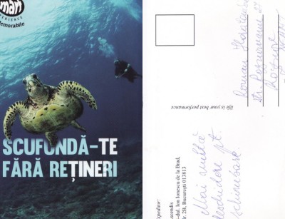 Ilustrata animale- Broasca testoasa foto
