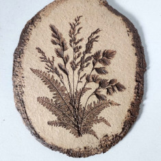 Placa ceramica imprint frunze si material vegetal, hand-made, decor artist made