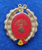 Insigna Militara Comandant pluton Garzile patriotice GP INFANTERIE Coifura - Cuc