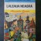 ALEXANDRE DUMAS - LALEAUA NEAGRA (1982, editie cartonata)