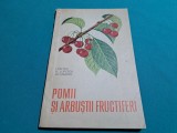 POMII ȘI ARBUȘTII FRUCTIFERI / I.MILIȚIU / 1962 *