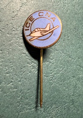 Insigna ICE - CNA varianta tip pin foto
