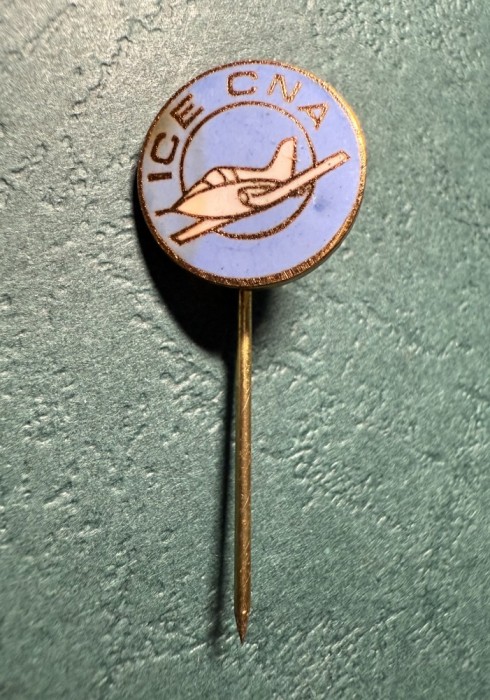 Insigna ICE - CNA varianta tip pin