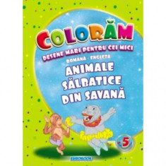 Animale sălbatice din savană. Desene mari pentru cei mici română-engleză - Paperback - Eurobookids