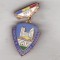bnk ins Insigna Fruntas in gospodarirea orasului 1978