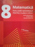 Felicia Sandulescu - Matematica. Evaluare nationala pentru clasa a VIIIa (Editia: 2017)