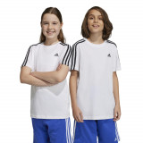 Tricou Educație fizică ADIDAS Alb Băieți