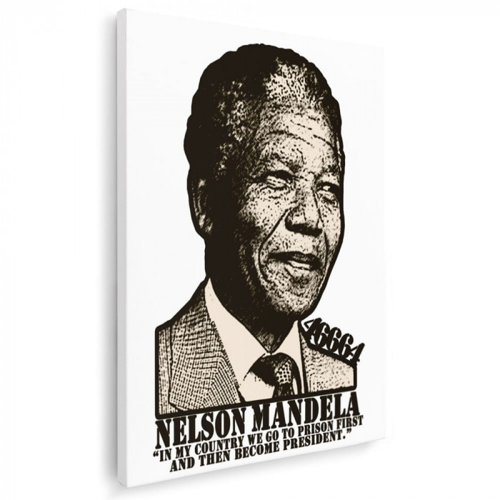 Tablou Mandela lider politic Tablou canvas pe panza CU RAMA 60x80 cm
