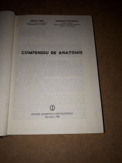 COMPENDIU DE ANATOMIE ? Mircea Ifrim foto