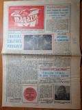Magazin 25 octombrie 1980-art scris de adrian paunescu, Nicolae Iorga