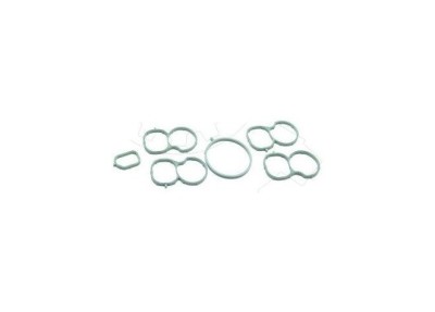 Set garnituri galerie admisie Alfa Romeo Giulietta 1.6jtdm 20, Fiat Bravo 1.6jtd 20, Doblo 1.6jtd 20, Grande Punto 1.6jtd 20, Jeep Renegade 1.6jtd foto