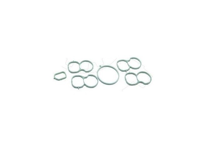 Set garnituri galerie admisie Alfa Romeo Giulietta 1.6jtdm 20, Fiat Bravo 1.6jtd 20, Doblo 1.6jtd 20, Grande Punto 1.6jtd 20, Jeep Renegade 1.6jtd