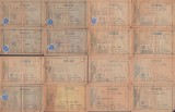 A3189N Asigurarea Rom&acirc;nească, Societate Anonimă Rom&acirc;nă de asigurare generală și asigurare țărănească, lot de 16 chitanțe, anii 1930