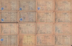 A3189N Asigurarea Rom&acirc;nească, Societate Anonimă Rom&acirc;nă de asigurare generală și asigurare țărănească, lot de 16 chitanțe, anii 1930