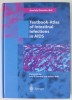 TEXTBOOK - ATLAS OF INTESTINAL INFECTIONS IN AIDS by DANIELE DIONISIO , 2003