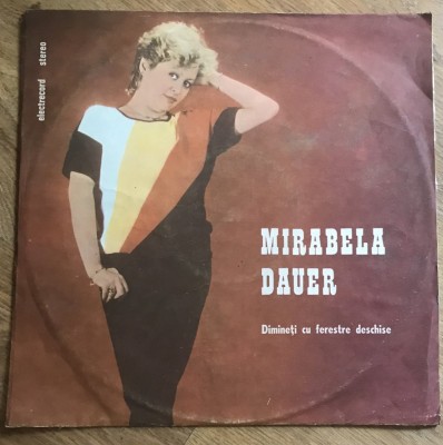 Vinil(5) Mirabela Dauer foto