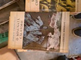 O minunata călătorie vintage