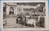 Carte postala, Sinaia, Castelul Peles, Terasele, 1931